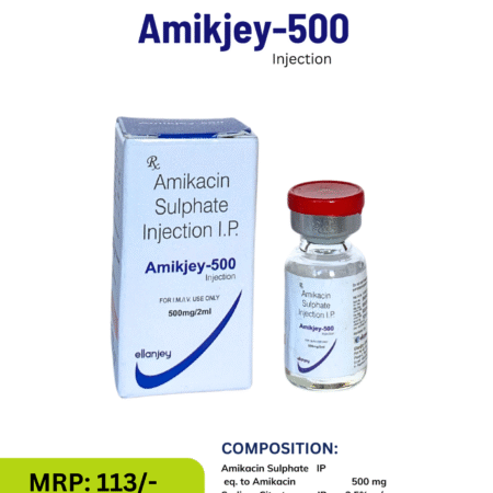 Amikjey 500