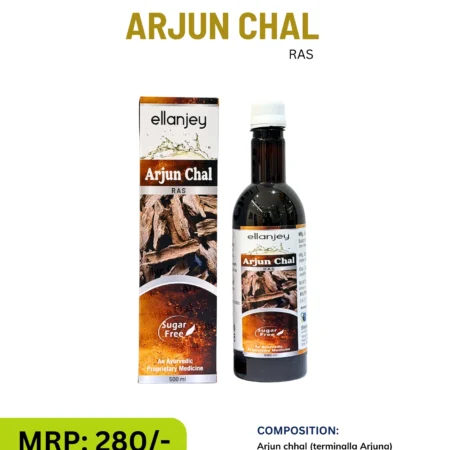 ARJUN CHAL