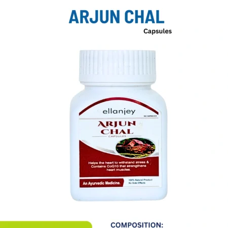 Arjun Chal