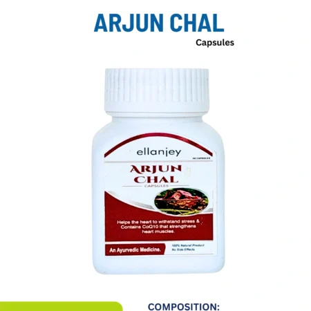 Arjun Chal