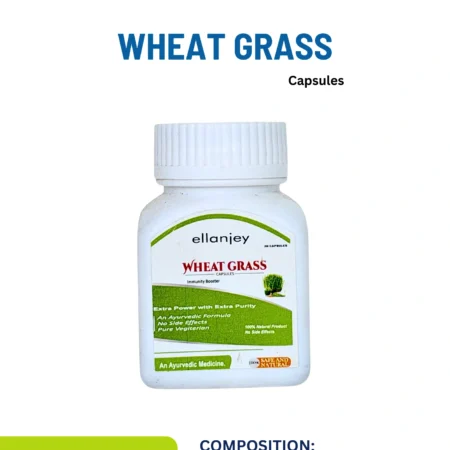 Wheat Grass Capsules