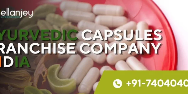 Ayurvedic Capsules Franchise Company India