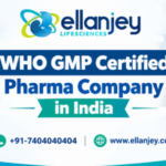WHO GMP Certified Pharma Company in India